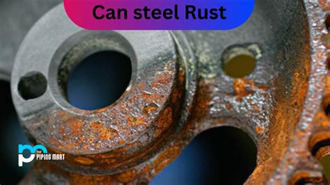 can metal rust in air tight box|rust free metal construction.